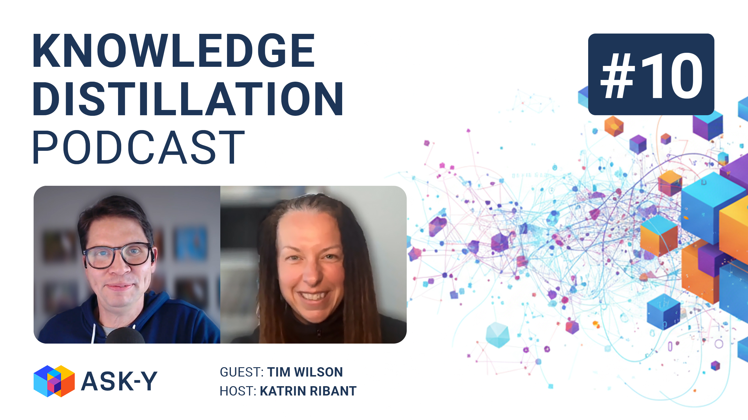Knowledge Distillation Podcast episode 10 cover featuring host Katrin Ribant and Tim Wilson discussing analytics thinking, measurement strategy, and the agentic commerce era.