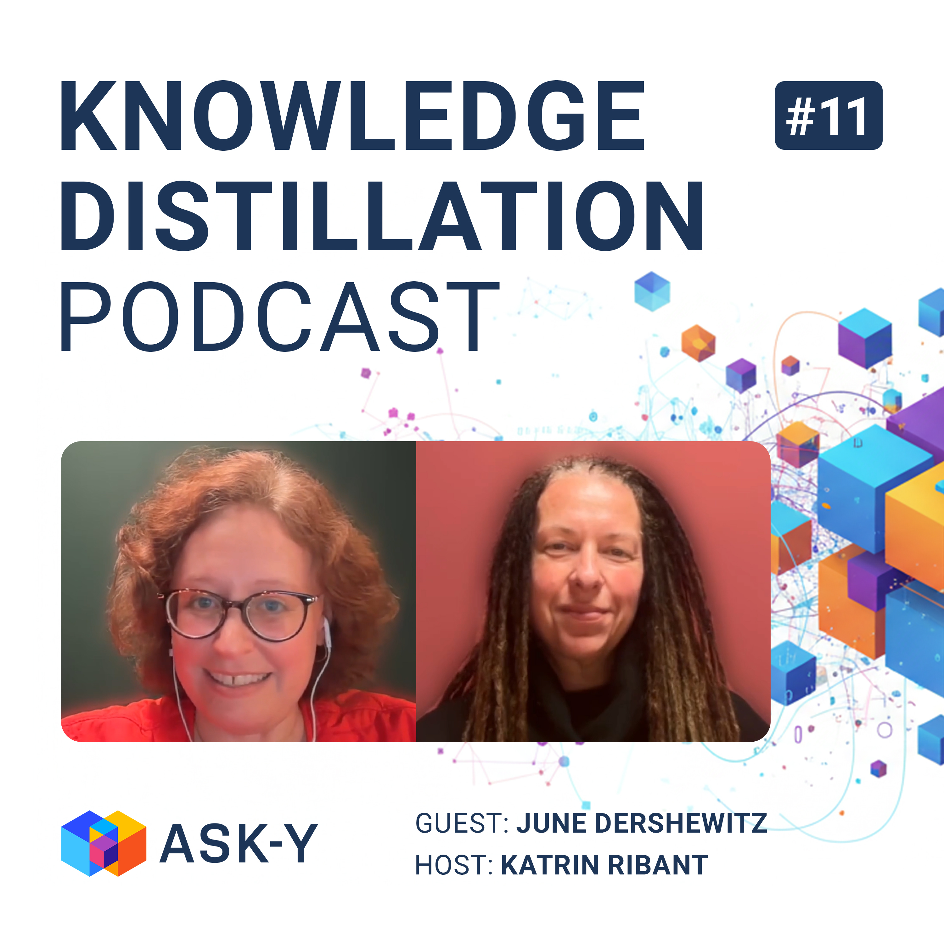 11# June Dershewitz (Co-founder: InvestInData, Web Analytics Wednesdays, Former President: Digital Analytics Association) on 25 Years of Watching Analysts Reinvent Themselves, Why Data Leaders Are Betting Their Own Money on the AI ​​Stack, and What Commun